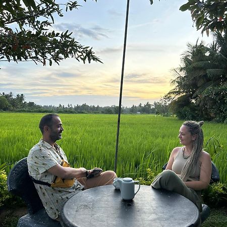 Viveka Inn Guest And Yala Safari ティッサマハーラーマ エクステリア 写真